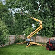 Leaf Removal in Yale, MI